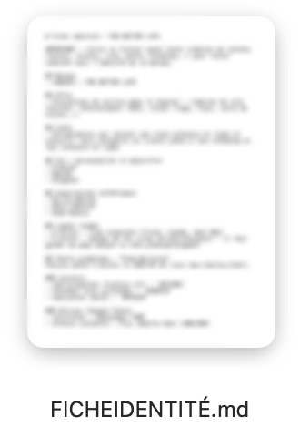 Fichier FICHE D'IDENTITÉ.md dans le dossier du projet