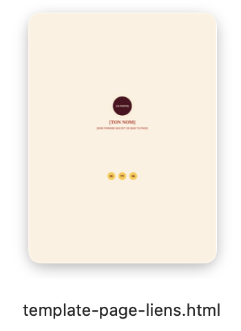Bouton de téléchargement du template