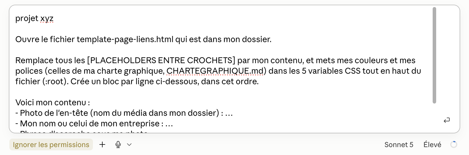 Message : projet xyz suivi du prompt