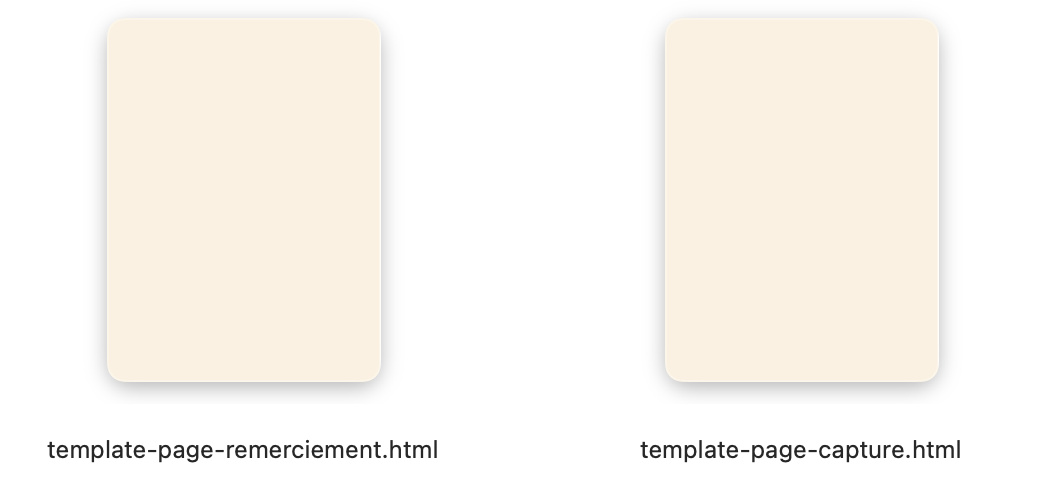 Bouton de téléchargement du template